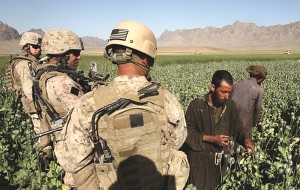 U.S Marines patrol as Afghan men harvest opium in a poppy field in a village in Golestan district of Farah province