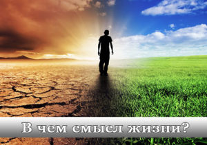 Смысл-жизни-человека.