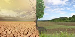 climate